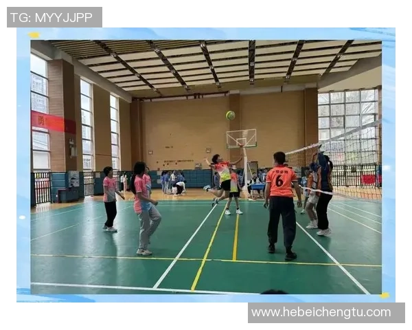 成都排球队展现卓越团队协作精神助力联赛精彩表现